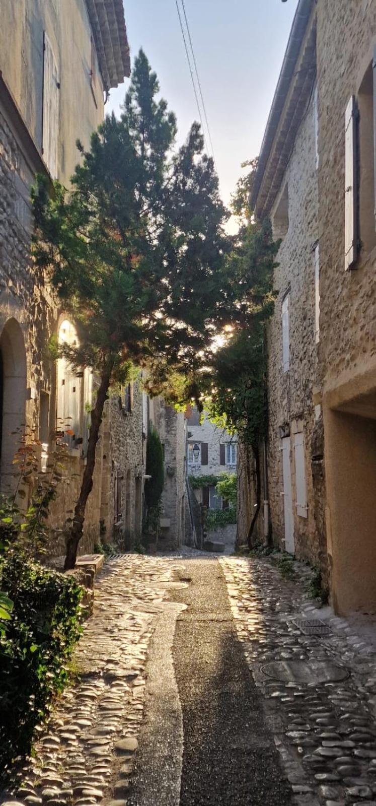 Maison Ancienne Romantique Avec Terrasse Panoramique Vaison-la-Romaine Exteriör bild
